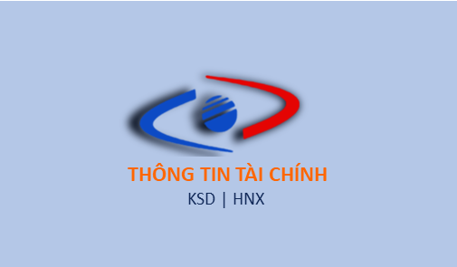 Báo cáo tài chính đã kiểm toán năm 2024